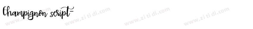 Champignon script字体转换